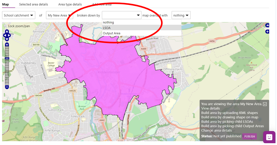 Screenshot showing the dropdown filter needed to show the details of the map shape drawn e.g. LSOAs. 