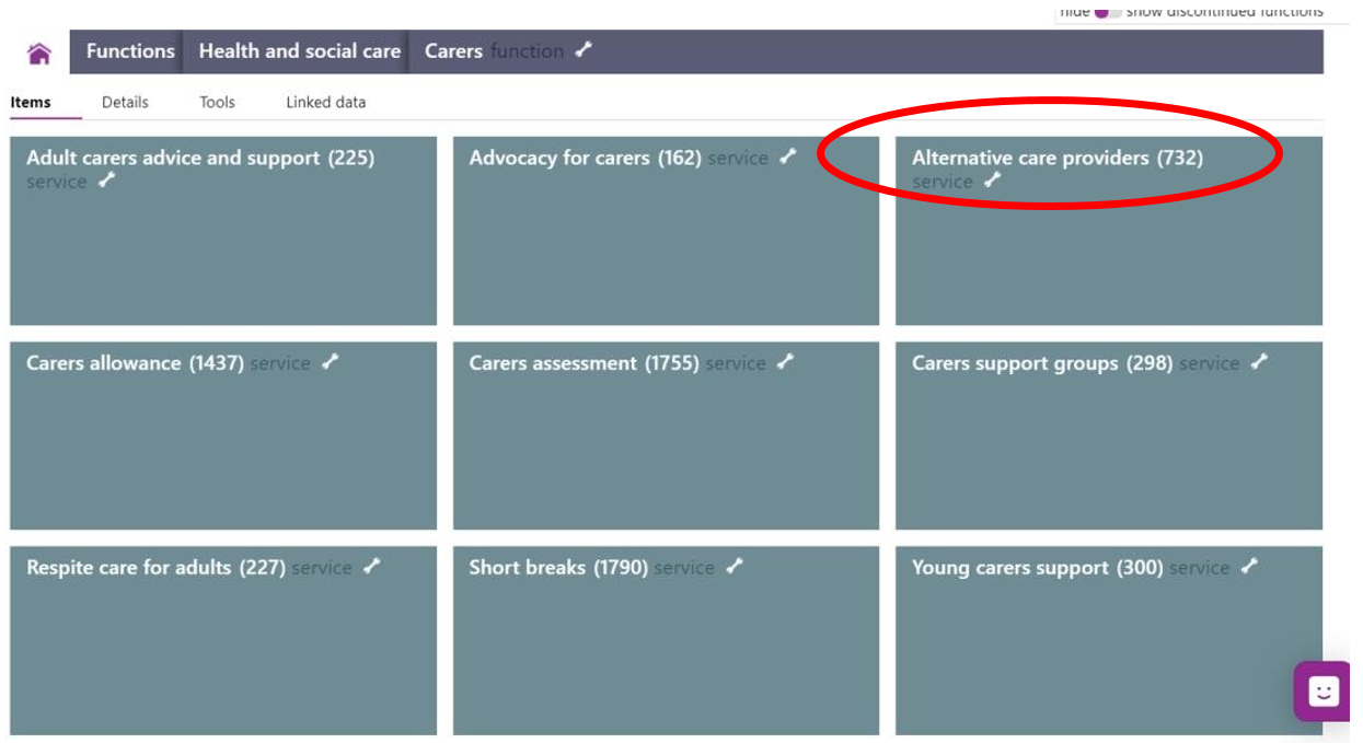 Screenshot highlighting the Alternative care providers area